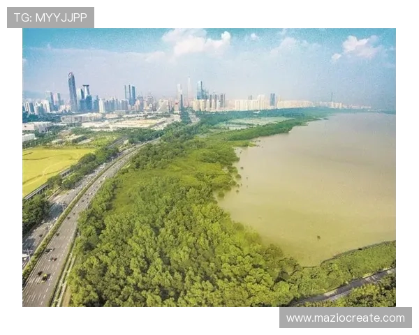 红树林娱乐：结合生态保护与娱乐休闲的创新方式，推动绿色旅游产业发展